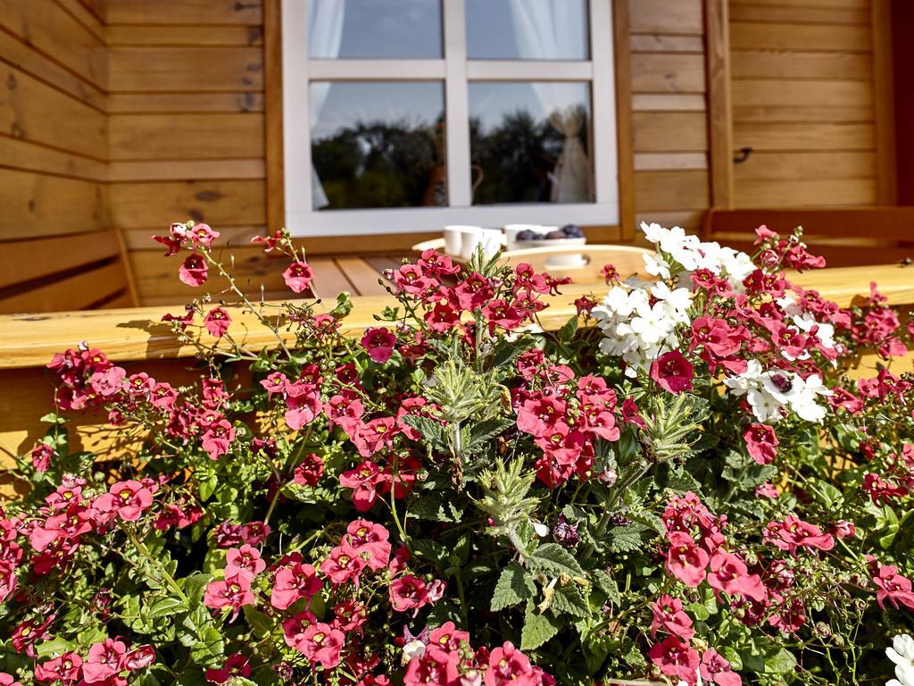 Holiday Homes Vita Natura Rakovica Dış mekan fotoğraf